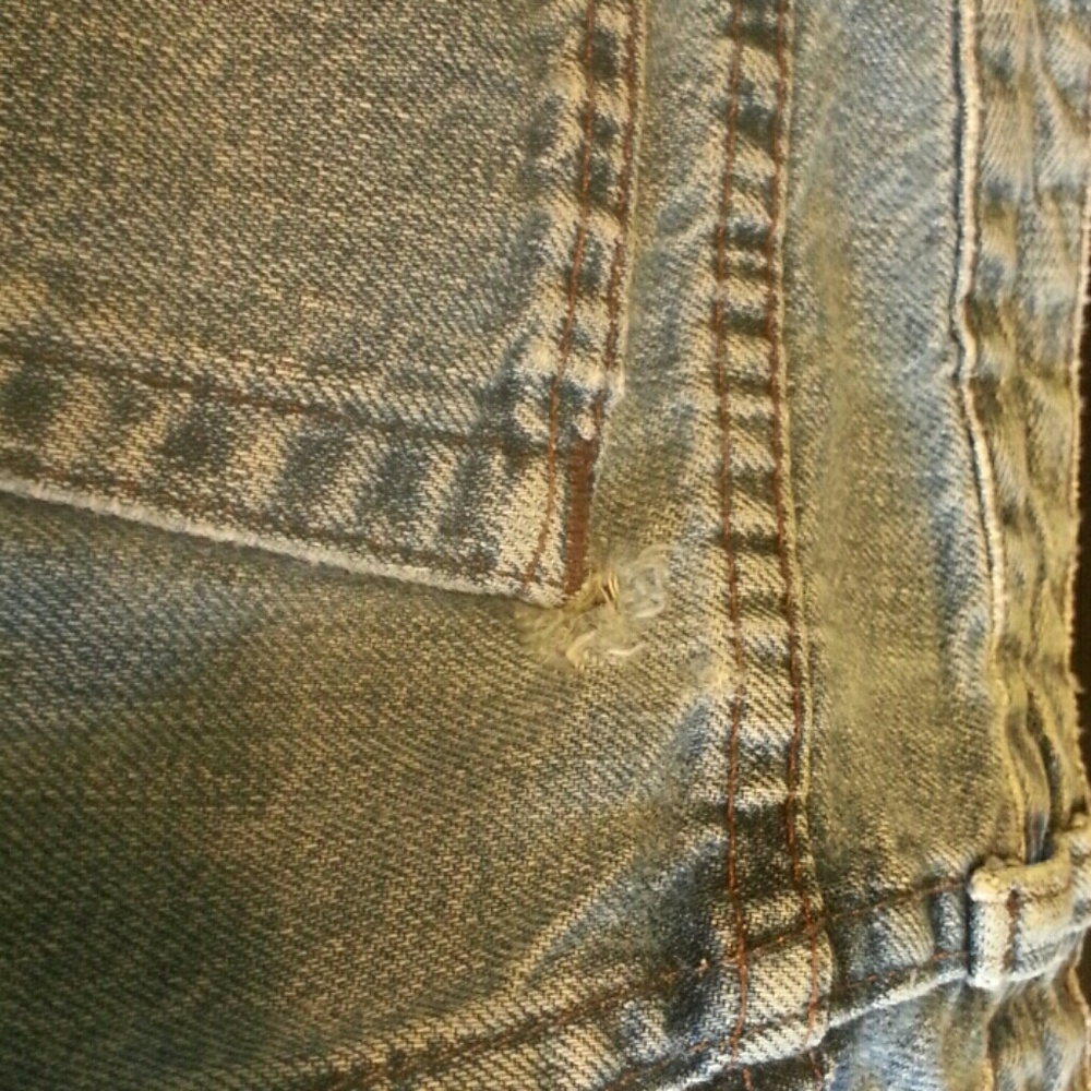 Pants - Picture 5 of 5
